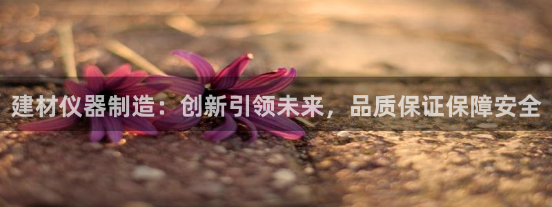 索林电子cq9