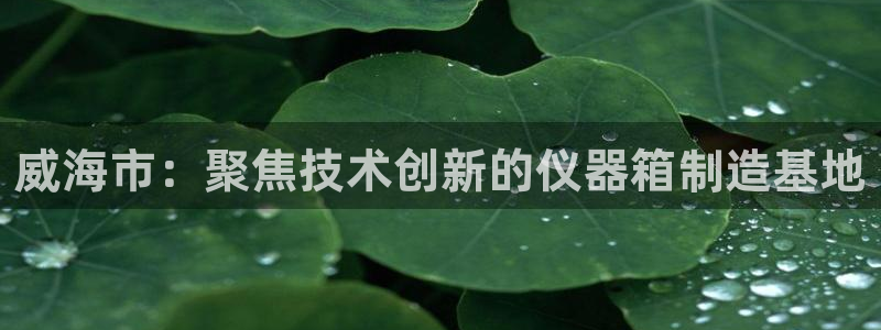 cq9官网电子：威海市：聚焦技术创新的仪器箱制造基地