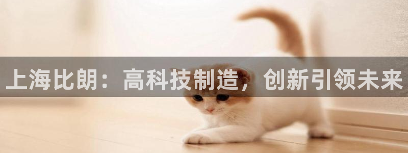 电子游戏cq9不夜城：上海比朗：高科技制造，创新引领未来