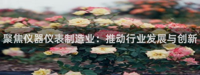 cq9传奇电子表