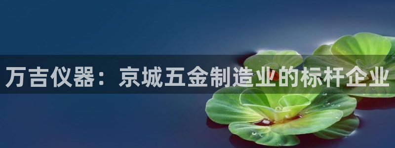 传奇cq9电子在线官网