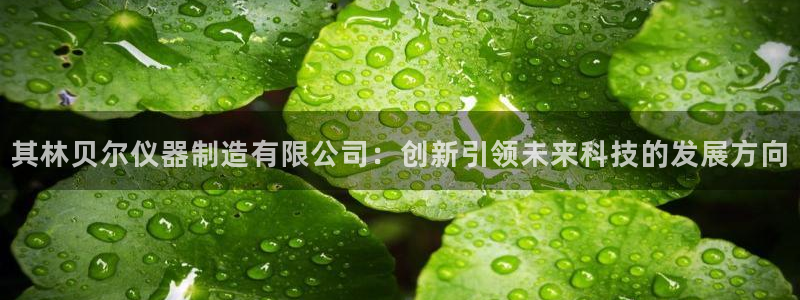 cq9传奇电子打法