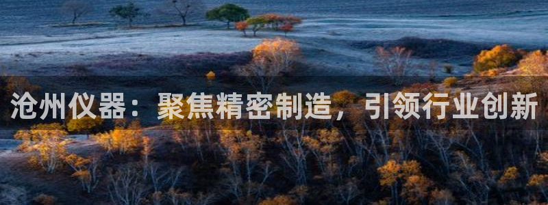 cq9电子武圣网址：沧州仪器：聚焦精密制造，引领行业创新