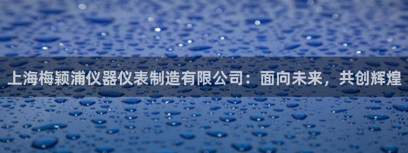 武圣cq9电子：上海梅颖浦仪器仪表制造有限公司：面向未来，共