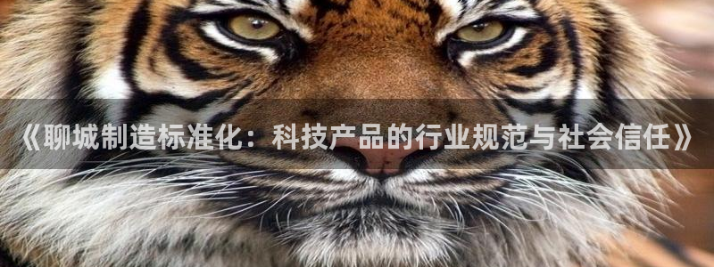 传说电子cq9：《聊城制造标准化：科技产品的行业规范与社会信
