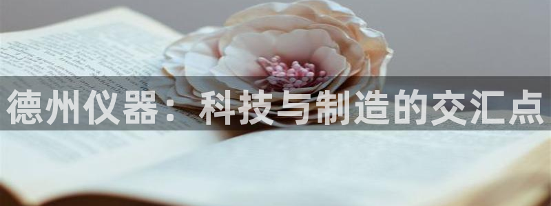 cq9 电子：德州仪器：科技与制造的交汇点