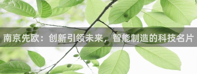 cq9电子跳过来：南京先欧：创新引领未来，智能制造的科技名片