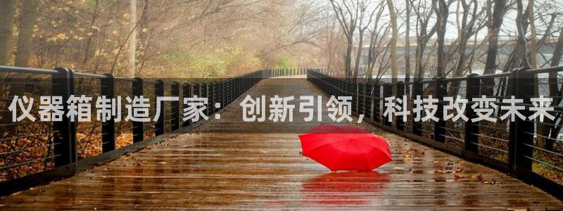cq9电子哪吒再临：仪器箱制造厂家：创新引领，科技改变未来