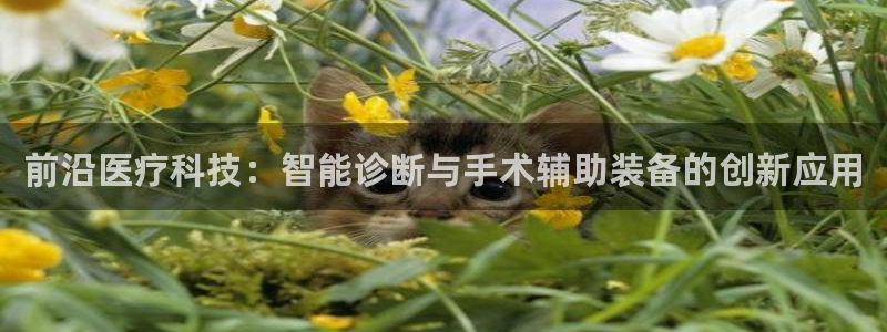 cq9电子狐玩法：前沿医疗科技：智能诊断与手术辅助装备的创新
