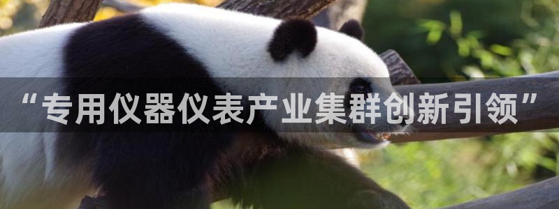 传祺电子cq9怎么使用：“专用仪器仪表产业集群创新引领”