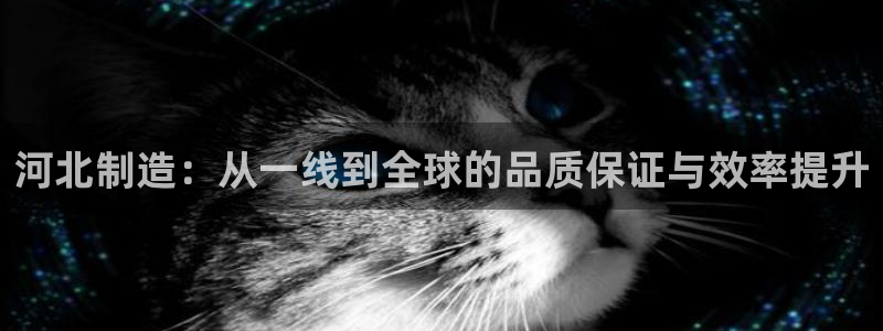 CQ9电子怎么玩：河北制造：从一线到全球的品质保证与效率提升