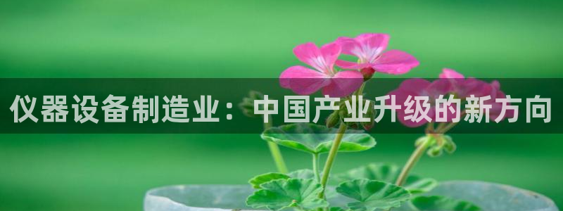 cq9电子怎样下载：仪器设备制造业：中国产业升级的新方向