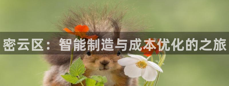cq9电子台子：密云区：智能制造与成本优化的之旅