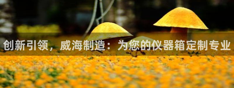 CQ9电子单手跳高高：创新引领，威海制造：为您的仪器箱定制专