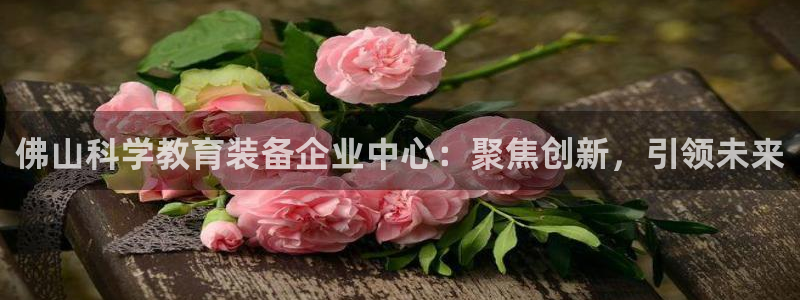cq9电子有控制吗：佛山科学教育装备企业中心：聚焦创新，引领