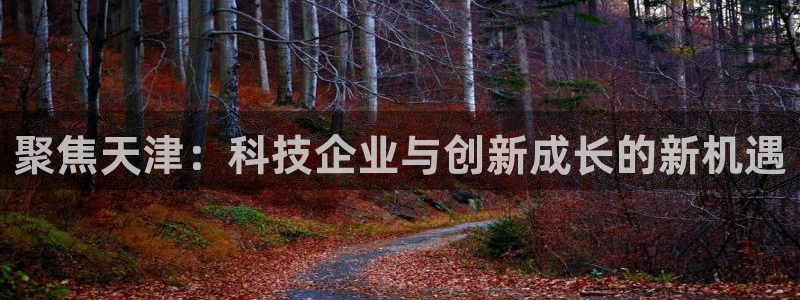 cq9电子传奇火凤凰：聚焦天津：科技企业与创新成长的新机遇