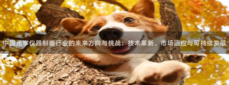 电子cq9是什么：中国光学仪器制造行业的未来方向与挑战：技术