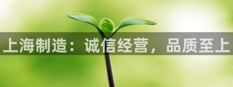 cq9电子财神：上海制造：诚信经营，品质至上