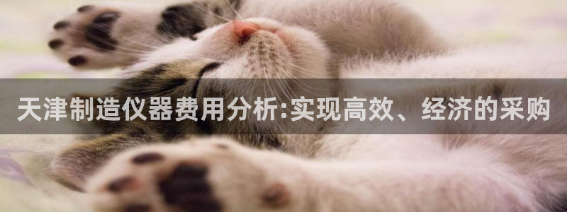 cq9电子官网首页：天津制造仪器费用分析:实现高效、经济的采