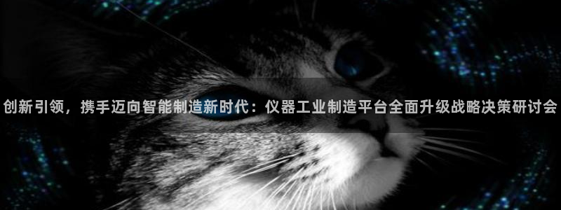 cq9电子怎么好：创新引领，携手迈向智能制造新时代：仪器工业
