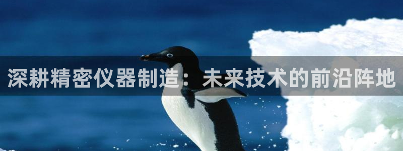 电子cQ9游戏大奖视频：深耕精密仪器制造：未来技术的前沿阵地