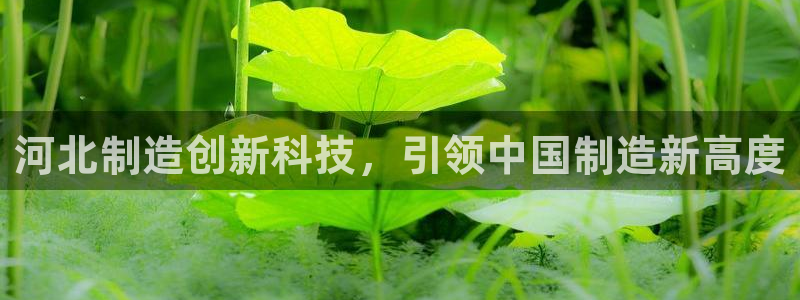 cq9电子游戏囍：河北制造创新科技，引领中国制造新高度