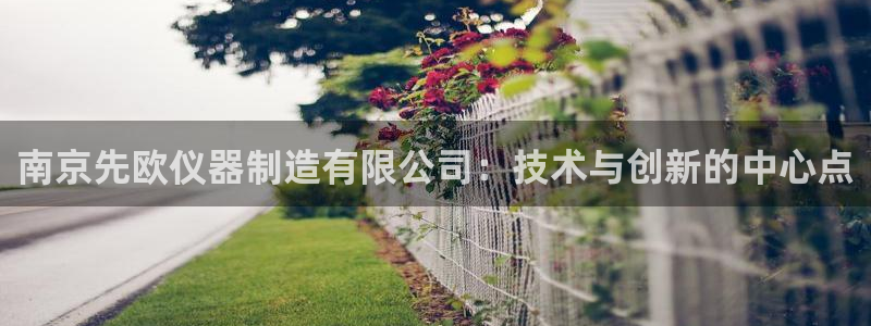 cq9传奇电子游戏技巧：南京先欧仪器制造有限公司：技术与创新