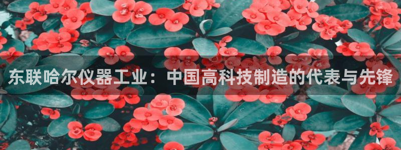 cq9电子甜蜜暴击：东联哈尔仪器工业：中国高科技制造的代表与