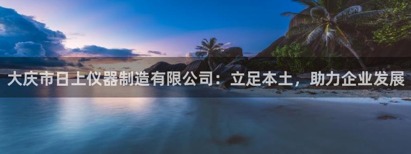cq9电子平台下载：大庆市日上仪器制造有限公司：立足本土，助