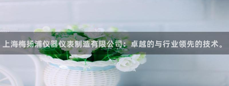 cq9电子送彩金：上海梅扬浦仪器仪表制造有限公司：卓越的与行