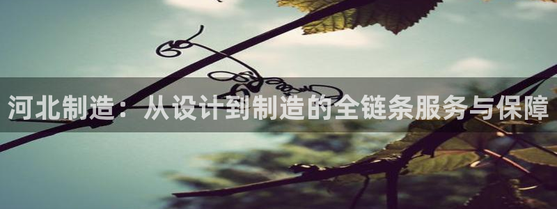 cq9电子游戏破解：河北制造：从设计到制造的全链条服务与保障