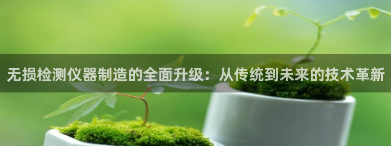 cq9传奇电子娱乐：无损检测仪器制造的全面升级：从传统到未来