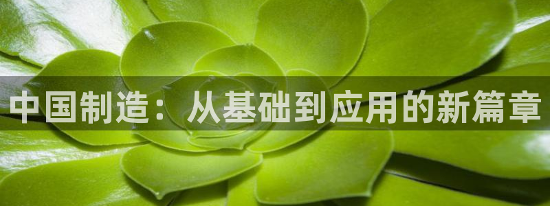 cq9传奇电子视频：中国制造：从基础到应用的新篇章